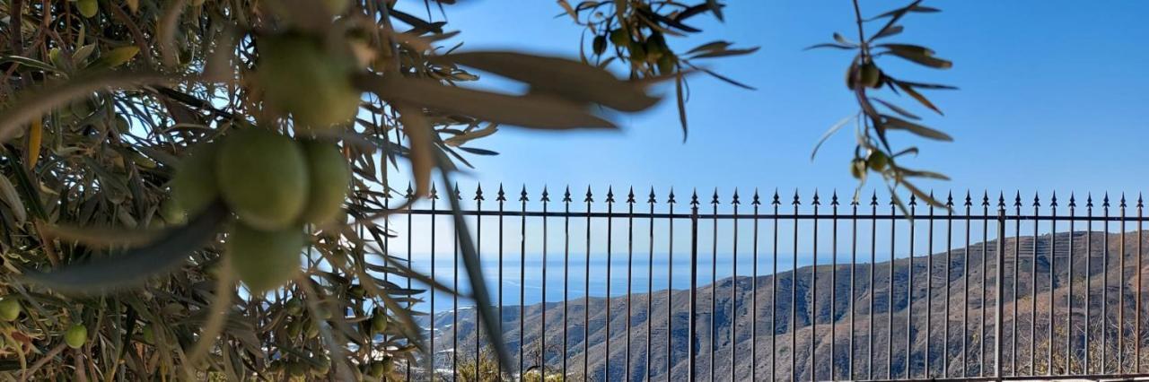 Cortijo Blanco Villa Albondon Exterior foto