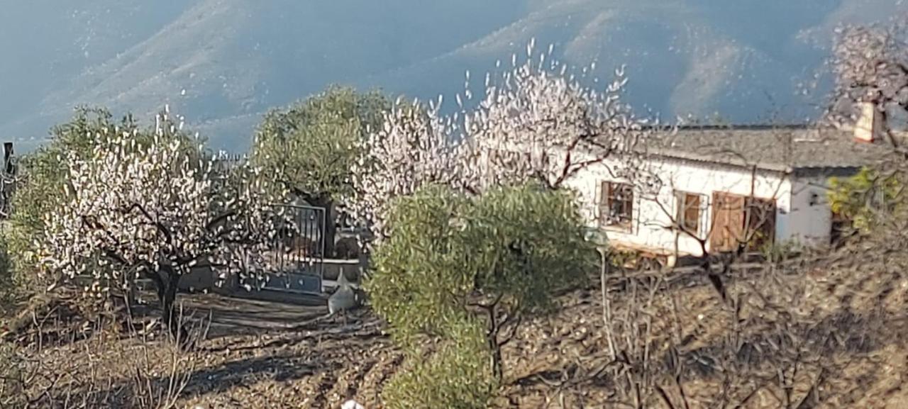 Cortijo Blanco Villa Albondon Exterior foto
