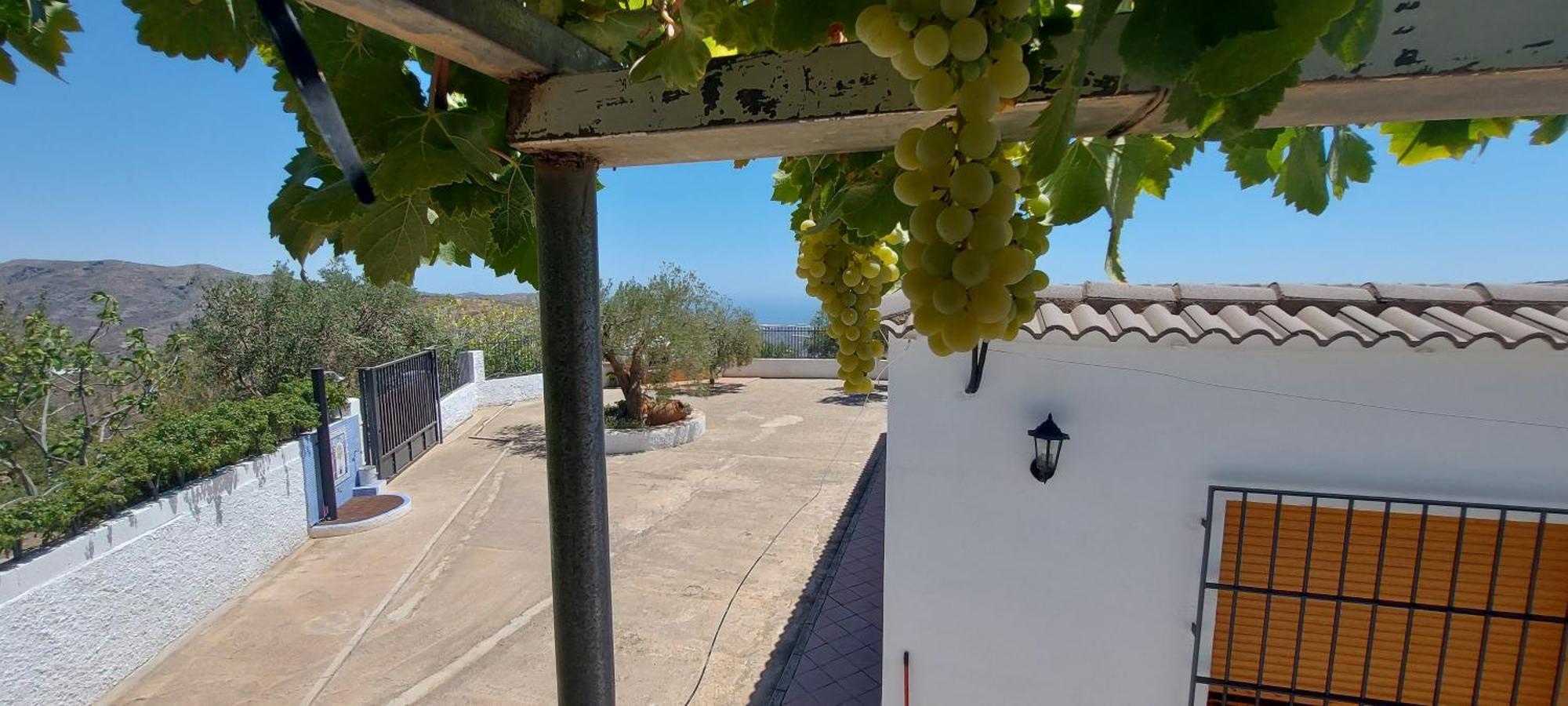Cortijo Blanco Villa Albondon Exterior foto