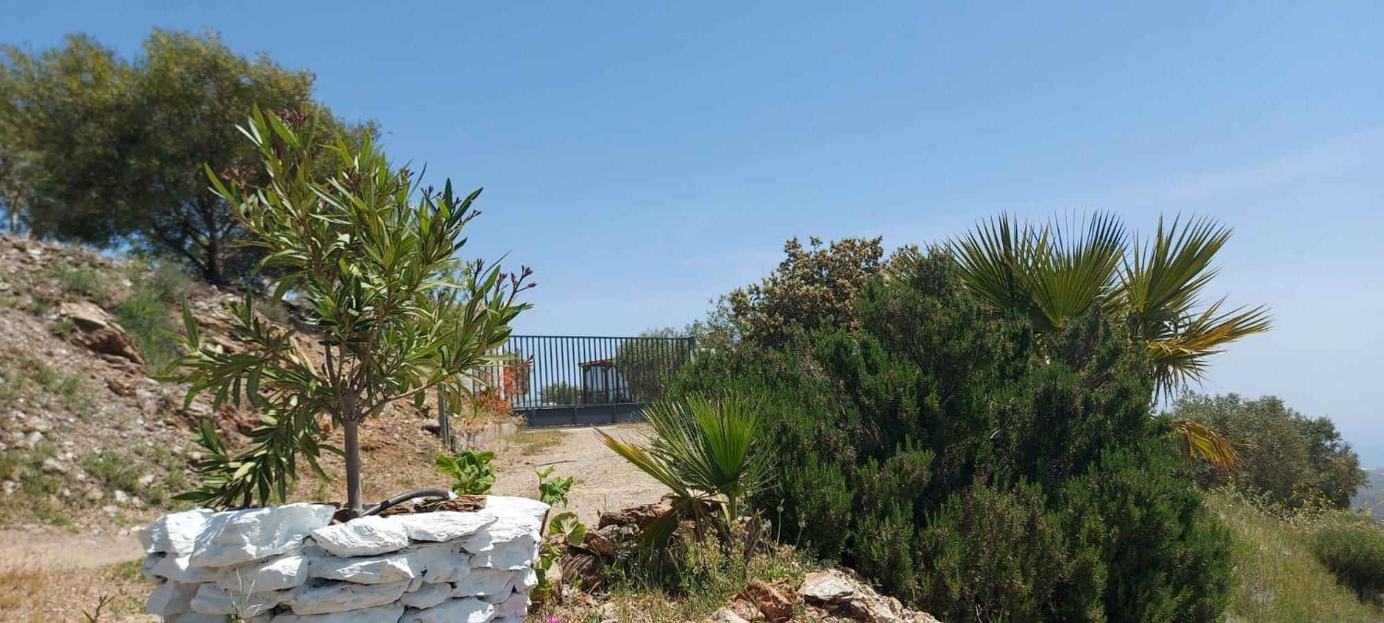 Cortijo Blanco Villa Albondon Exterior foto