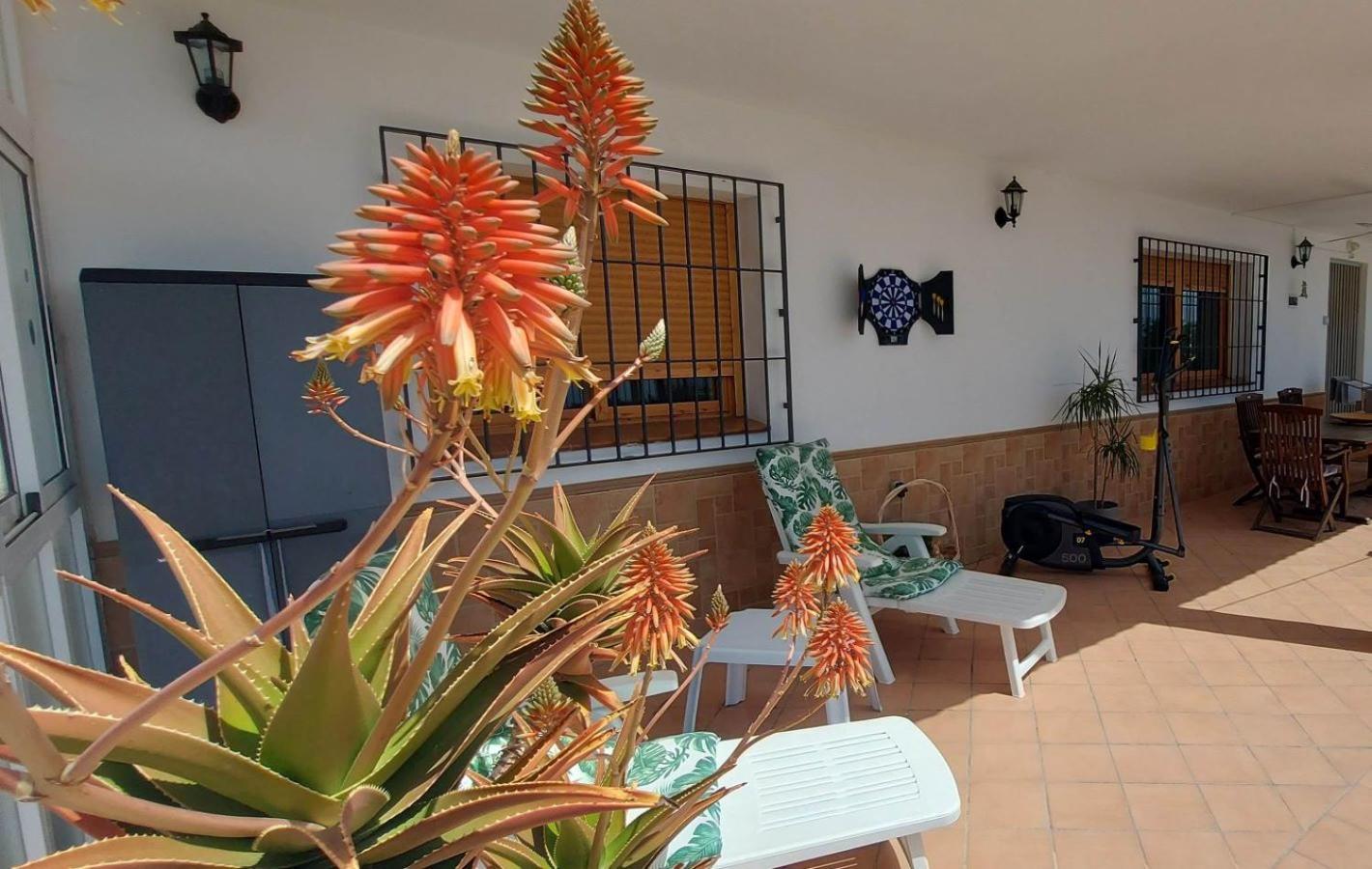Cortijo Blanco Villa Albondon Exterior foto