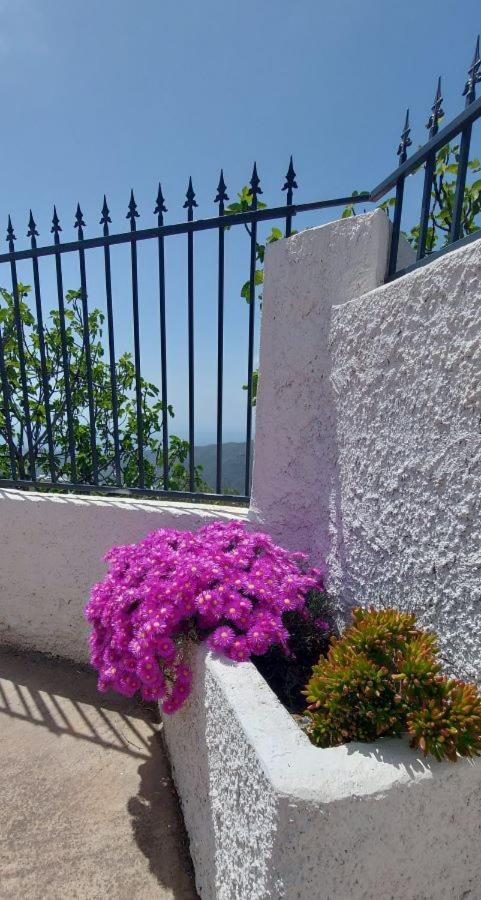 Cortijo Blanco Villa Albondon Exterior foto